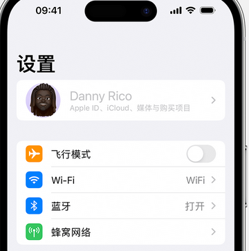 西沙appleID维修服务iPhone设置中Apple ID显示为灰色无法使用 