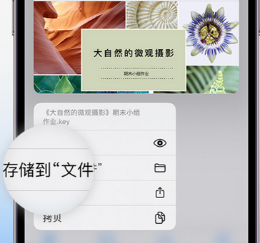 西沙apple维修中心分享iPhone文件应用中存储和找到下载文件