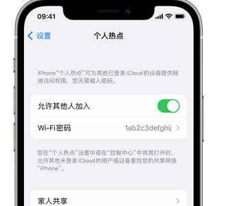 西沙apple服务站点分享iPhone上个人热点丢失了怎么办 