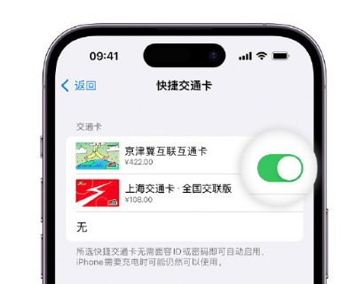 西沙apple维修点分享iPhone上更换Apple Pay快捷交通卡手绘卡面 