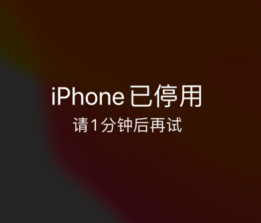 西沙苹果手机维修分享:iPhone 显示“不可用”或“已停用”怎么办？还能保留数据吗？ 