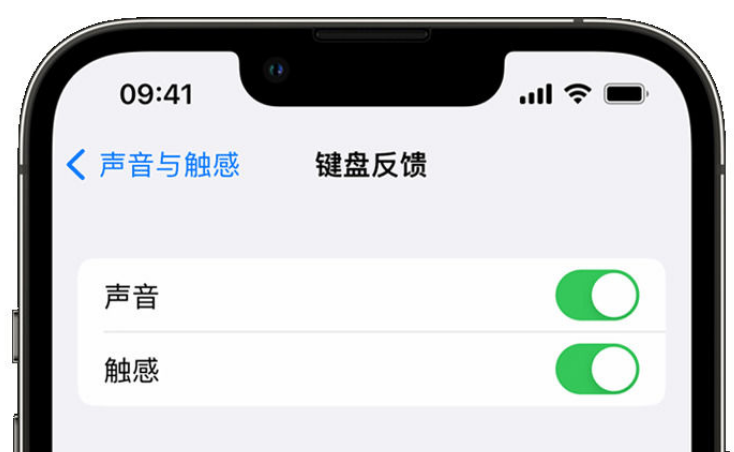 西沙苹果手机维修分享iPhone 14触感键盘使用方法 