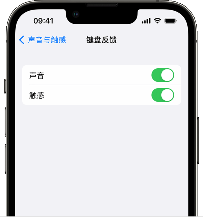 西沙苹果14维修店分享如何在 iPhone 14 机型中使用触感键盘 