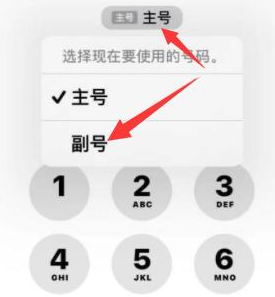 西沙苹果14维修店分享iPhone 14 Pro Max使用副卡打电话的方法 