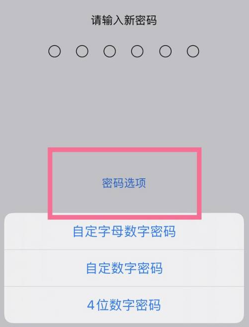 西沙苹果14维修分享iPhone 14plus设置密码的方法 