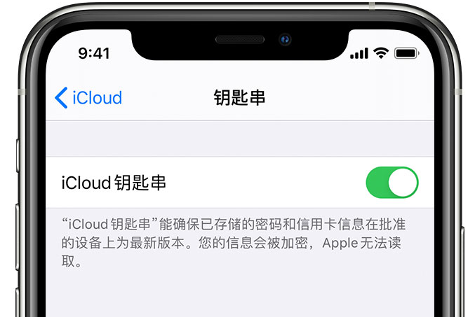 西沙苹果手机维修分享在 iPhone 上开启 iCloud 钥匙串之后会储存哪些信息 