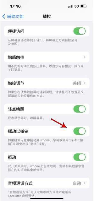 西沙苹果手机维修分享iPhone手机如何设置摇一摇删除文字 