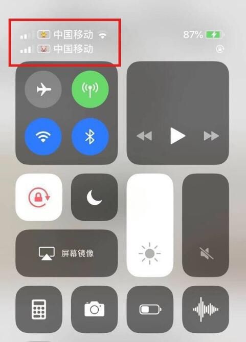 西沙苹果手机维修分享为 iPhone 12 双卡设置标签 